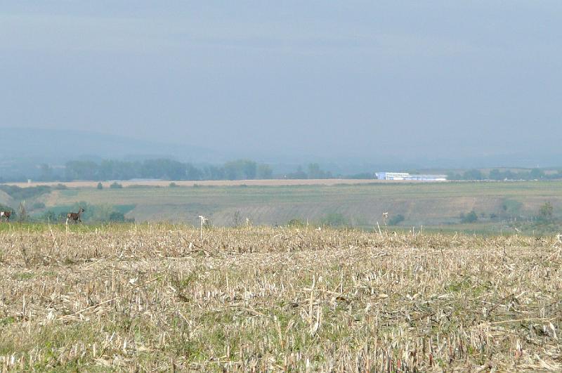 20121013 085.jpg